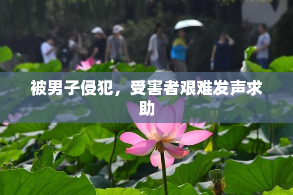 被男子侵犯，受害者艰难发声求助