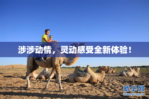 涉涉动情，灵动感受全新体验！