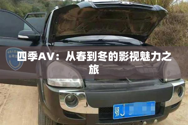 四季AV：从春到冬的影视魅力之旅