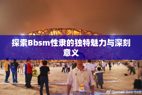 探索Bbsm性隶的独特魅力与深刻意义