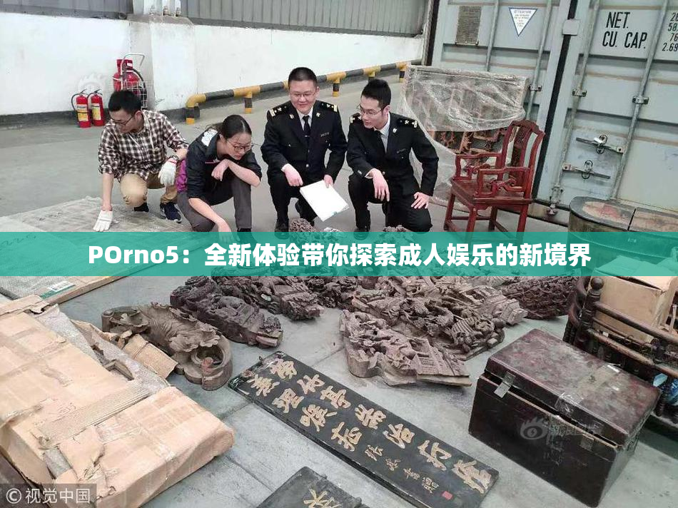 POrno5：全新体验带你探索成人娱乐的新境界
