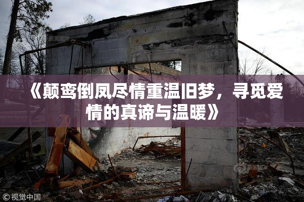《颠鸾倒凤尽情重温旧梦，寻觅爱情的真谛与温暖》