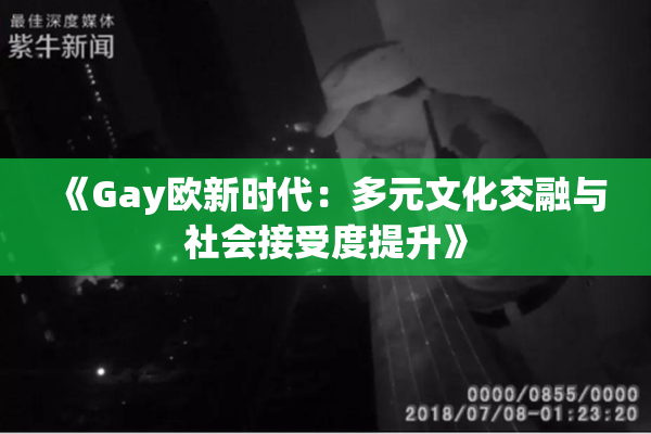 《Gay欧新时代：多元文化交融与社会接受度提升》