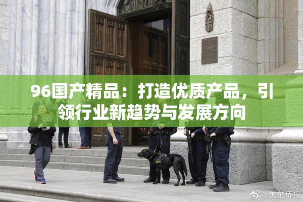 96国产精品：打造优质产品，引领行业新趋势与发展方向
