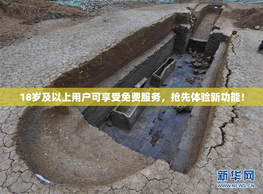 18岁及以上用户可享受免费服务，抢先体验新功能！
