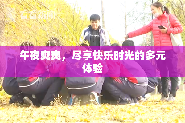 午夜爽爽，尽享快乐时光的多元体验
