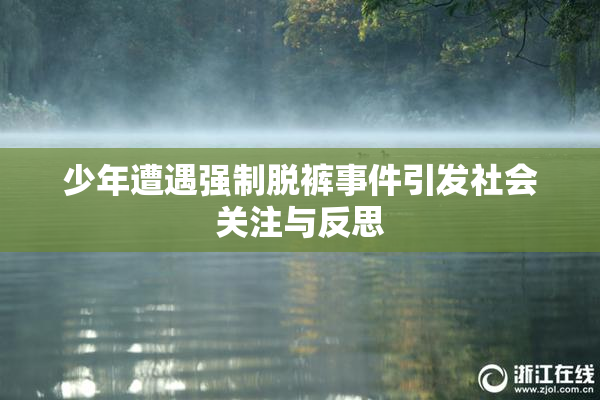 少年遭遇强制脱裤事件引发社会关注与反思