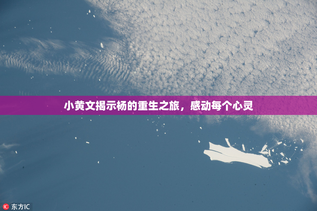 小黄文揭示杨的重生之旅，感动每个心灵