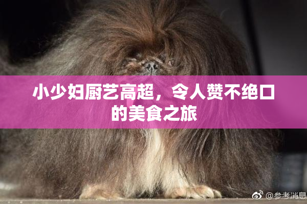 小少妇厨艺高超，令人赞不绝口的美食之旅