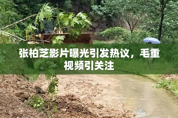 张柏芝影片曝光引发热议，毛重视频引关注