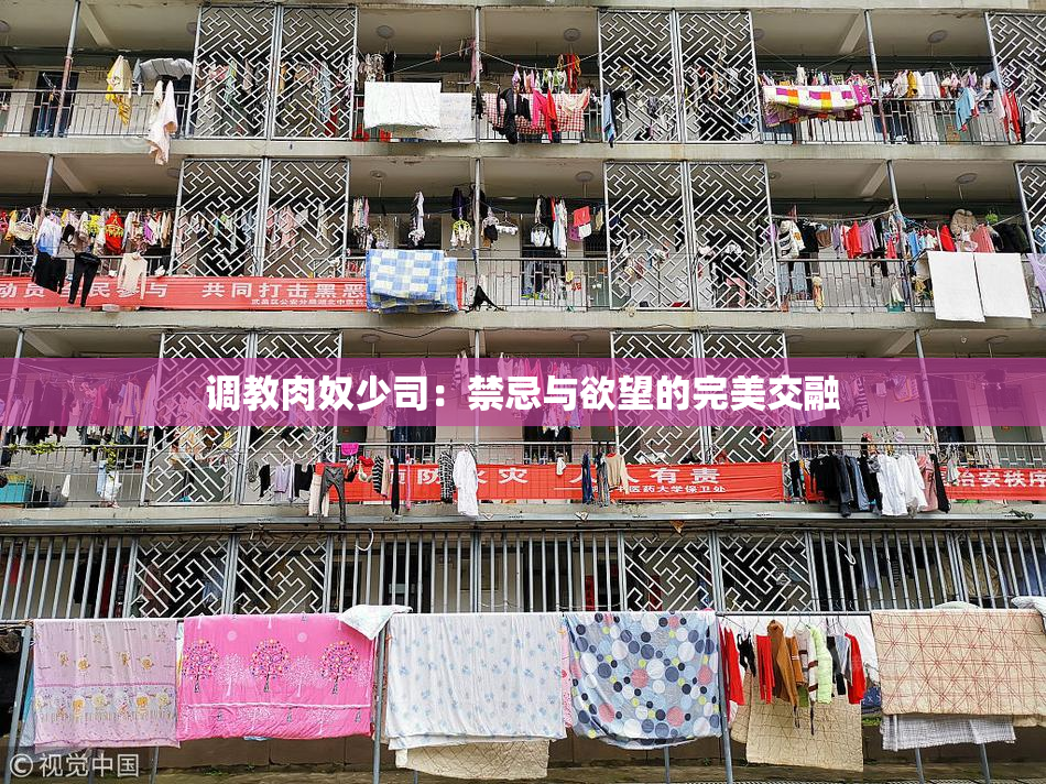 调教肉奴少司：禁忌与欲望的完美交融