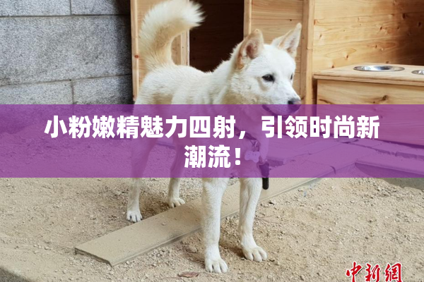 小粉嫩精魅力四射，引领时尚新潮流！