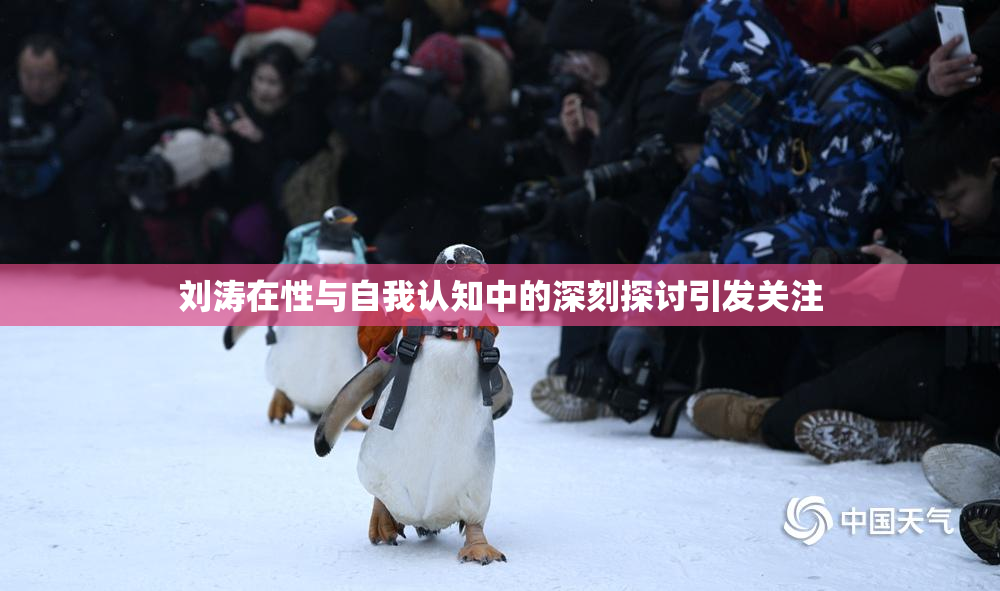刘涛在性与自我认知中的深刻探讨引发关注
