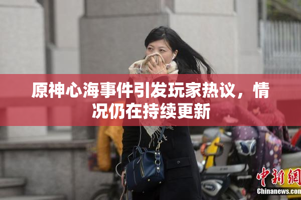 原神心海事件引发玩家热议，情况仍在持续更新