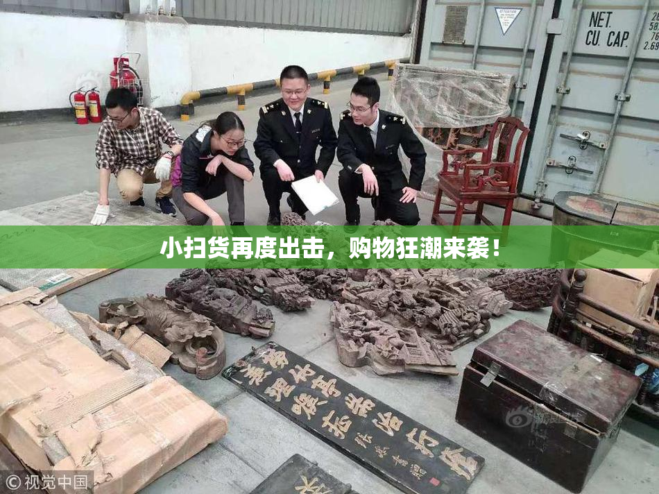 小扫货再度出击，购物狂潮来袭！