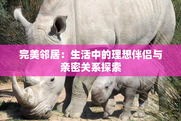 完美邻居：生活中的理想伴侣与亲密关系探索
