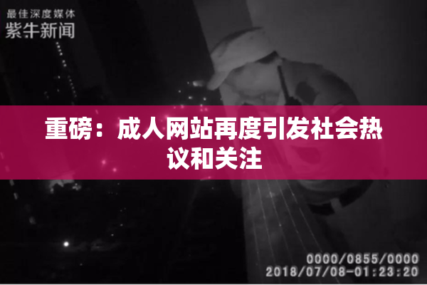重磅：成人网站再度引发社会热议和关注