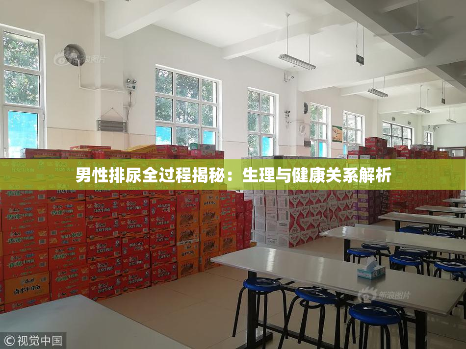 男性排尿全过程揭秘：生理与健康关系解析