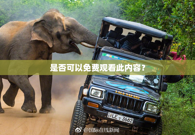 是否可以免费观看此内容？
