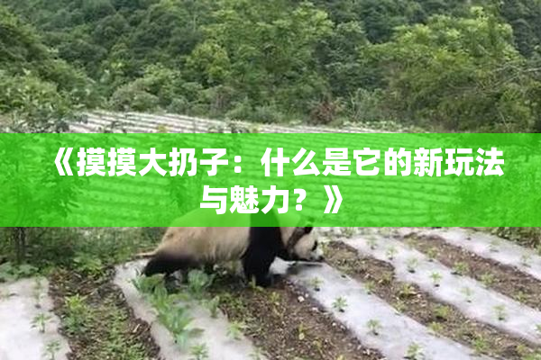 《摸摸大扔子：什么是它的新玩法与魅力？》