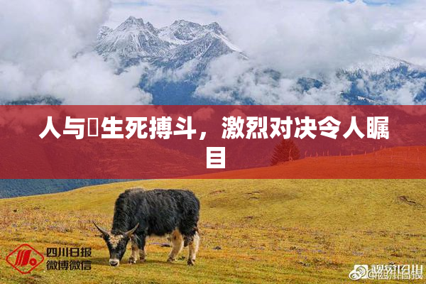 人与嘼生死搏斗，激烈对决令人瞩目