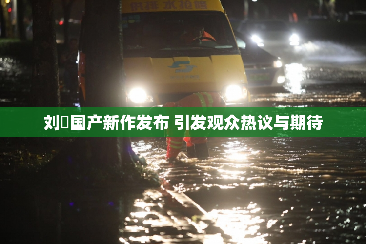 刘玥国产新作发布 引发观众热议与期待