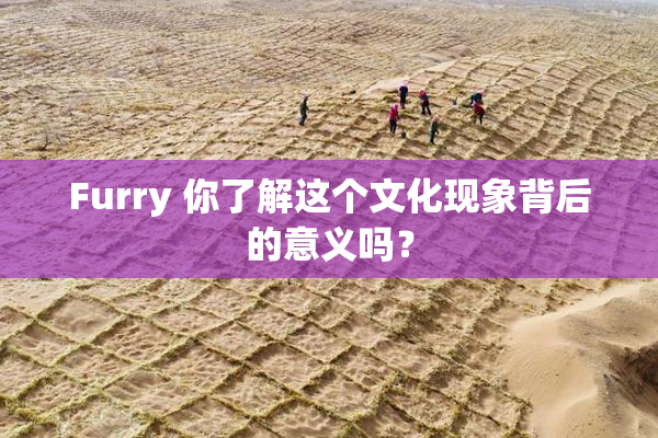 Furry 你了解这个文化现象背后的意义吗？