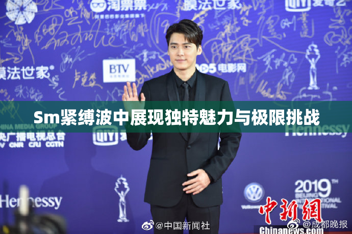 Sm紧缚波中展现独特魅力与极限挑战