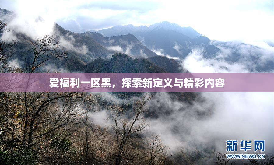 爱福利一区黑，探索新定义与精彩内容