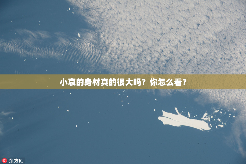小哀的身材真的很大吗？你怎么看？