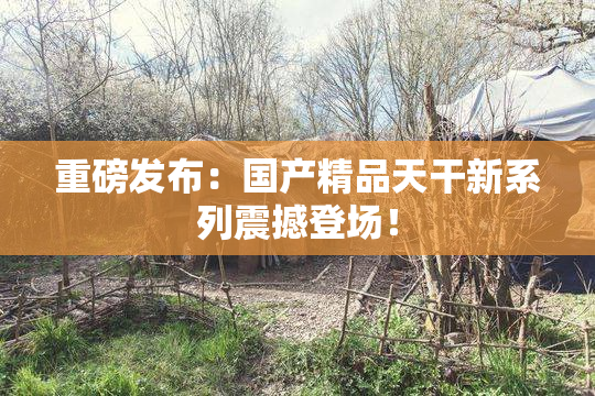 重磅发布：国产精品天干新系列震撼登场！