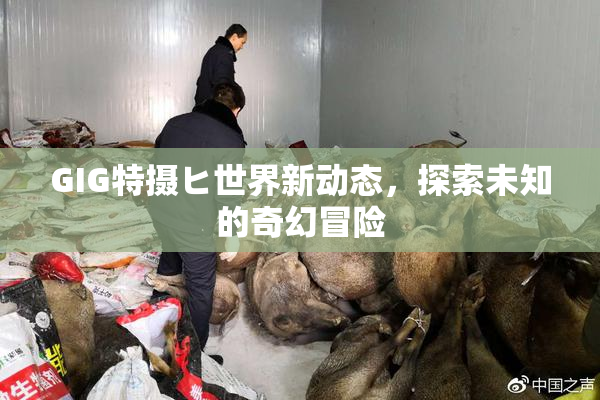 GIG特摄ヒ世界新动态，探索未知的奇幻冒险