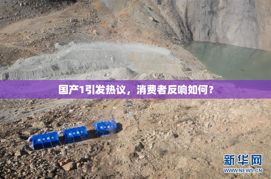 国产1引发热议，消费者反响如何？