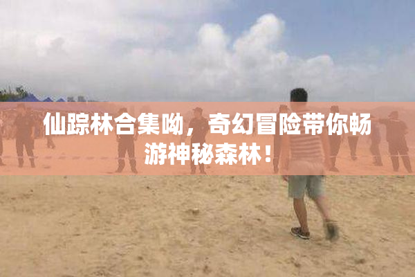 仙踪林合集呦，奇幻冒险带你畅游神秘森林！