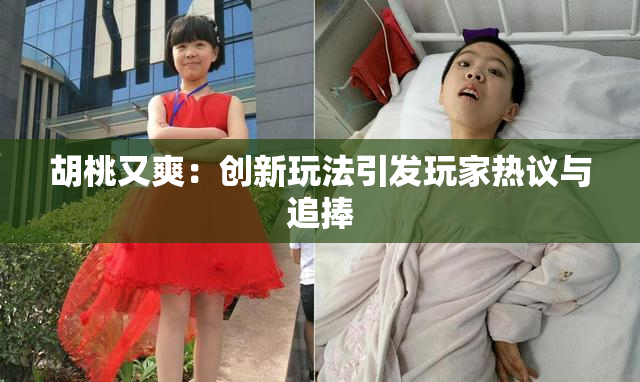 胡桃又爽：创新玩法引发玩家热议与追捧