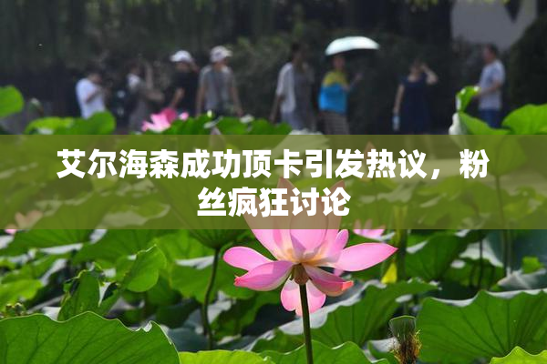 艾尔海森成功顶卡引发热议，粉丝疯狂讨论