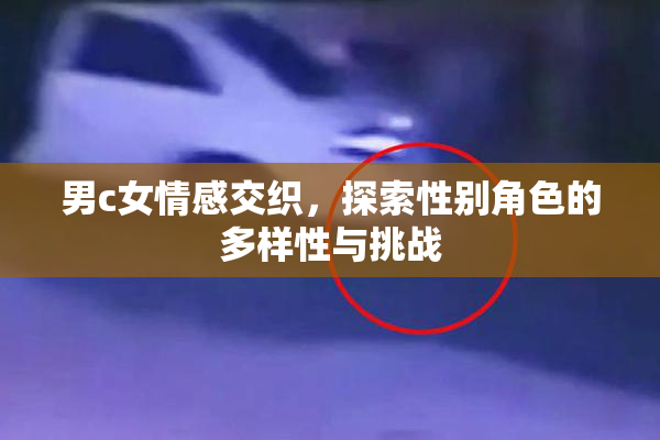 男c女情感交织，探索性别角色的多样性与挑战
