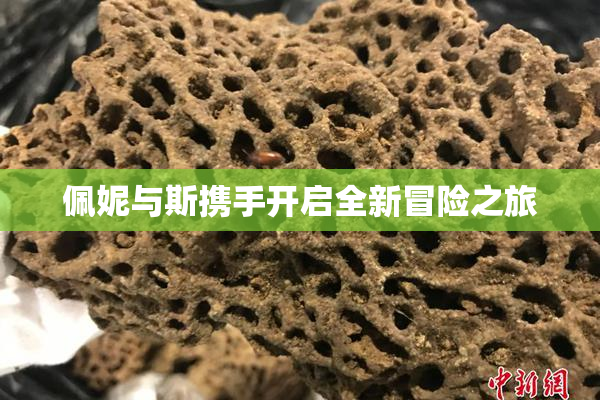 佩妮与斯携手开启全新冒险之旅