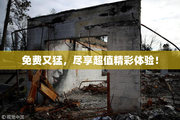 免费又猛，尽享超值精彩体验！