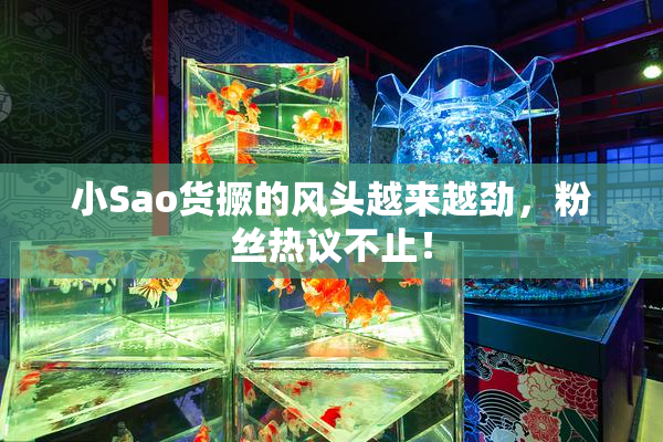 小Sao货撅的风头越来越劲，粉丝热议不止！