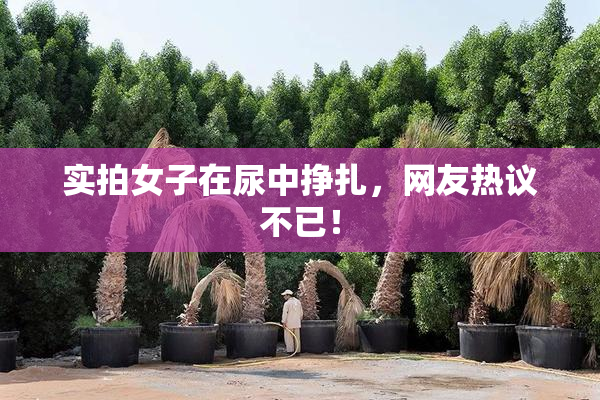 实拍女子在尿中挣扎，网友热议不已！
