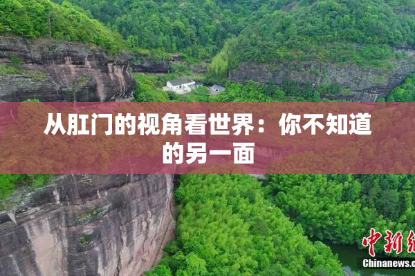从肛门的视角看世界：你不知道的另一面