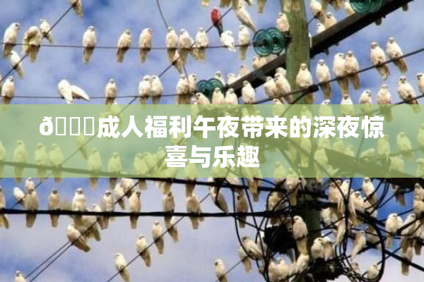 🔞成人福利午夜带来的深夜惊喜与乐趣