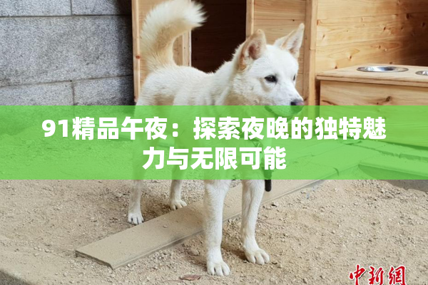 91精品午夜：探索夜晚的独特魅力与无限可能