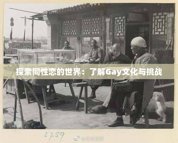 探索同性恋的世界：了解Gay文化与挑战