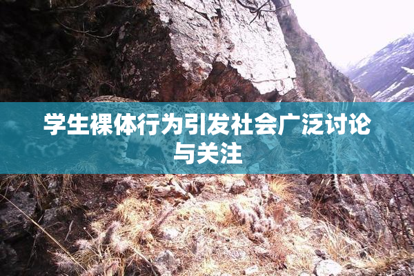 学生裸体行为引发社会广泛讨论与关注