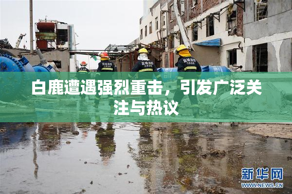白鹿遭遇强烈重击，引发广泛关注与热议