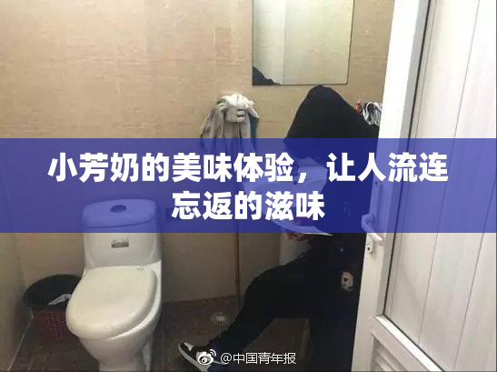 小芳奶的美味体验，让人流连忘返的滋味