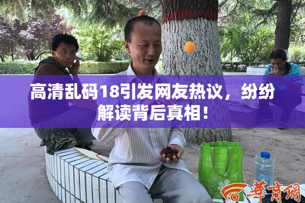 高清乱码18引发网友热议，纷纷解读背后真相！