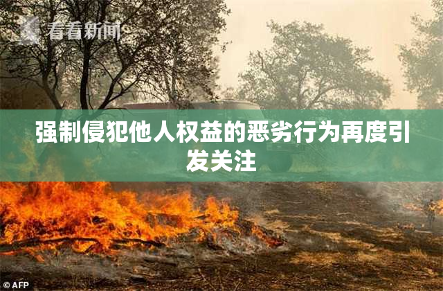 强制侵犯他人权益的恶劣行为再度引发关注